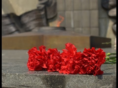 В Гомеле у Вечного огня на площади Труда возложили цветы видео