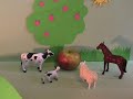 CFGS Animation