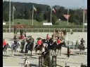 Mistrzostwa Europy Pony 2008