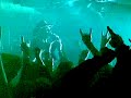 Mayhem - Live at Hell�, Tampere