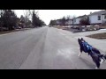 title="Bikejoring