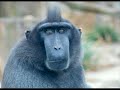 funny animals