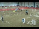Terry-All AKC 2008 Summit Std. - Saturday