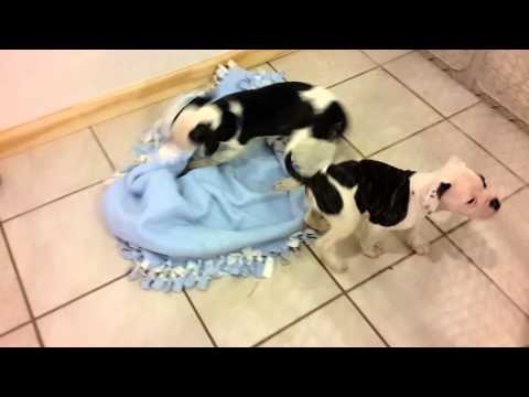 Girls playing together