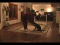 Anj - jump & retrieve play