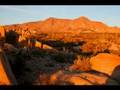 Desert Dreaming:Photo Essay