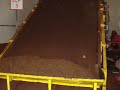 making tea