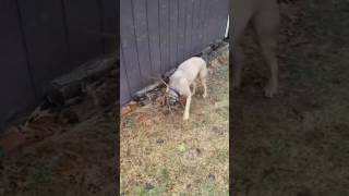 Fighting the Februaries: Doing What You Love