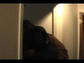 This is the second part of the swat film! Enjoy!