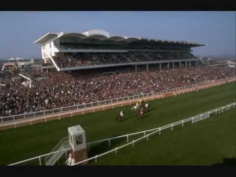 cheltenham tips