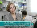 La polémica de los transgénicos - Agrosfera