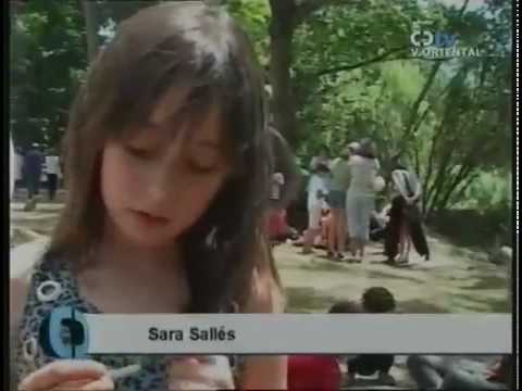 Tanit didàctica i difusió cultural - Tanit didàctica i difusió cultural -
