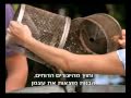 תכנית להגנת נסיכות: מלכלוך ועד זוהר