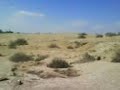 NEGEV NEGEV