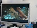 AlexMT81: Test meines Bildschirmes - Teil 1