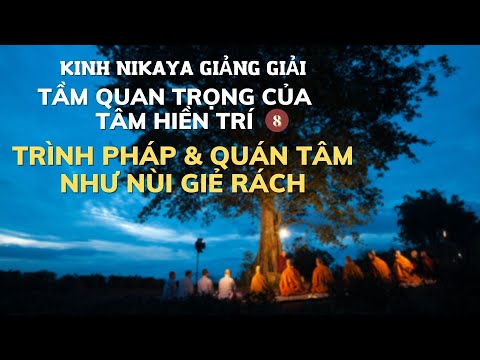 Kinh NIKAYA Giảng Giải - Tầm Quan Trọng Của Tâm Hiền Trí 8 - Trình Pháp & Quán Tâm Như Nùi Giẻ Rách