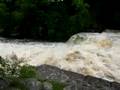 Aysgarth Falls, Yorkshire
