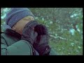 Wolf Hunting - Attenborough - Life of Mammals - BBC