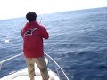 blue-marlin-impales-womans-breast-implant.html