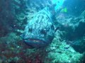 Mozambique Video