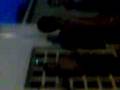 videos de yegua vs tusa