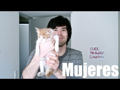 Imagen de previsualización de YouTube