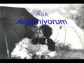 AySeL-DoGaN ( ASiGiM SaNa )