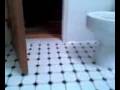 videos de Lady in the guest bathroom