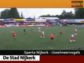 Sparta Nijkerk - IJsselmeervogels in het kort