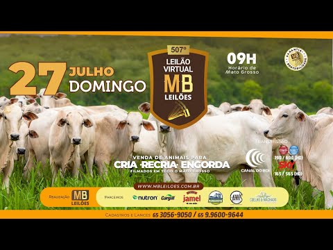 507� LEIL�O VIRTUAL MB LEIL�ES