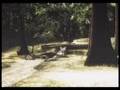 FATAL FRAME 2 -Crimson Butterfly- Play HARD ED1