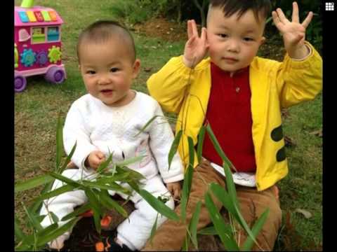 3 years old organ donor from china saves 5 people after death
