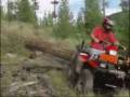 Montana Jacks Quad Skidder
