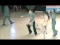 videos de Joel y Rosa Salou IDSF Adulto Jive 6-12-08 20081206012905