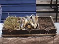Soil Conservation