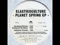 Elasticoculture - Container Dreams (Formaldehyd)
