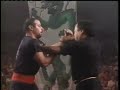 Wing Chun - The Ultimate Demonstration