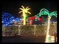 Cayman Christmas Lights 1