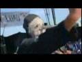 slipknot - scissors @DVD (VIDEO)