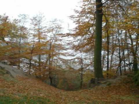 Video of Hanne Hjem