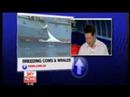 Olly Mann on Sky.Com News-12 Mar\