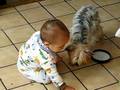 Baby Jack feeds Buster