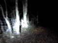 CLIP0006