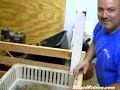 O homem que faz cachorrinhos cairem no sono O homem que faz cachorrinhos cairem no sono