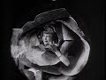 Princess Nicotine, or the Smoke Fairy (1909) Princess Nicotine, or the Smoke Fairy (1909)