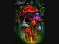 Infected mushroom - Elation Station
