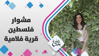 قرية فلامية-مشوار فلسطين