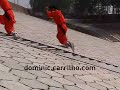 Real Shaolin Training