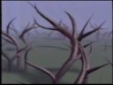 videos de How far we've come: 15 seconds. 15 years (1992 to 2007)