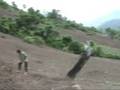 Soybean planting at Kunlon, Shan state, Myanmar